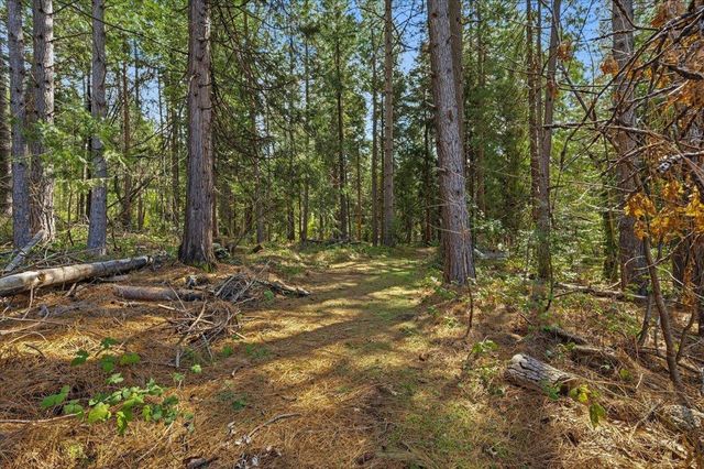 15625 Cleveland Ave, Camptonville, CA 95922