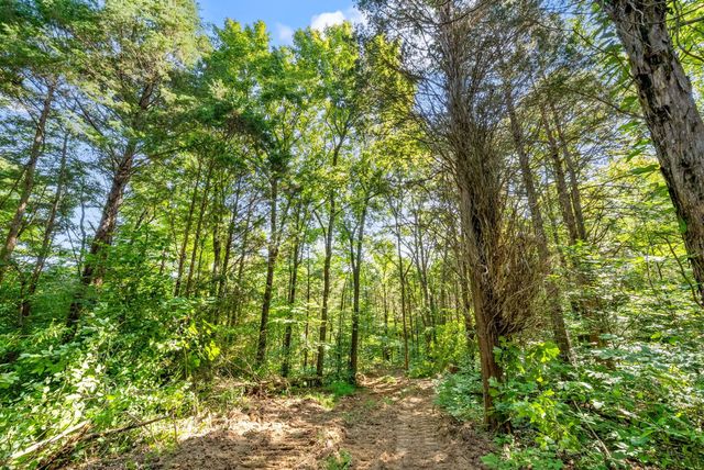 3 Lyle Hollow Rd, Palmyra, TN 37142