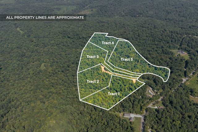 3 Lyle Hollow Rd, Palmyra, TN 37142