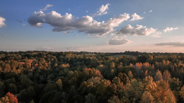 3 Lyle Hollow Rd, Palmyra, TN 37142