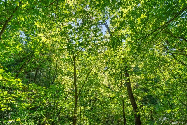 3 Lyle Hollow Rd, Palmyra, TN 37142