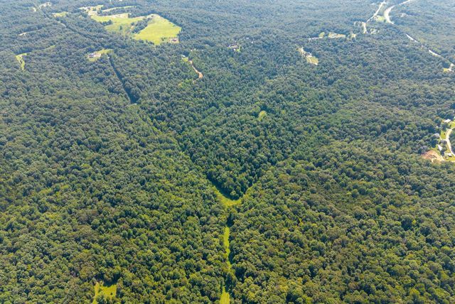 3 Lyle Hollow Rd, Palmyra, TN 37142