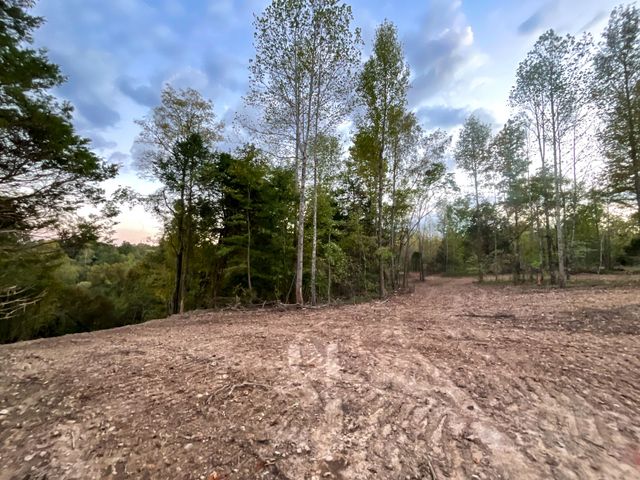 3 Lyle Hollow Rd, Palmyra, TN 37142