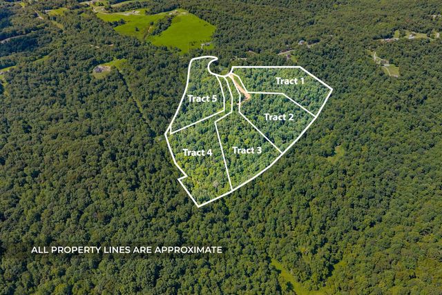 3 Lyle Hollow Rd, Palmyra, TN 37142