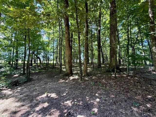 10 WHITE OAK DR, Moscow, TN 38057