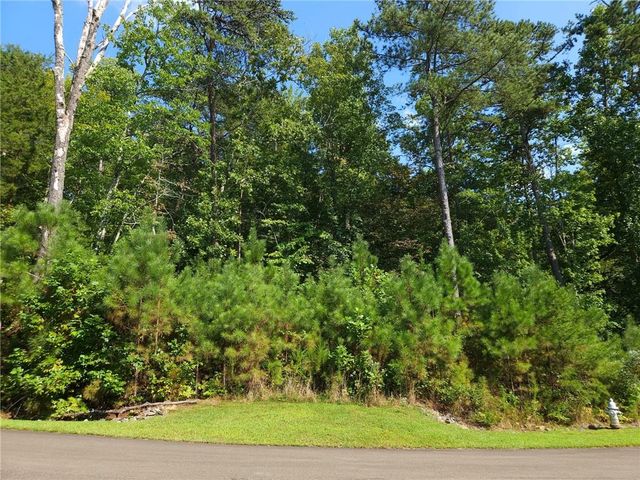 241 Carters View Lane, Ellijay, GA 30540