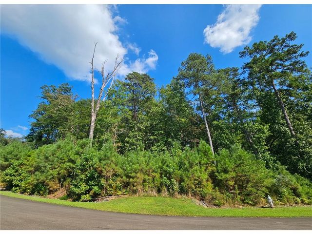 241 Carters View Lane, Ellijay, GA 30540