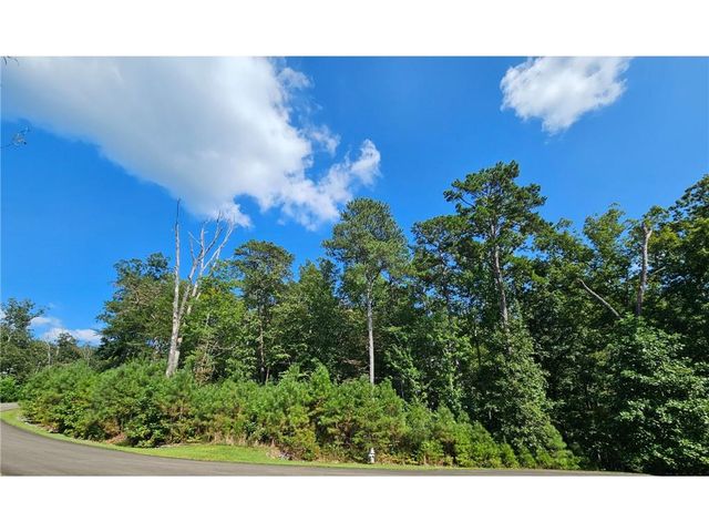 241 Carters View Lane, Ellijay, GA 30540