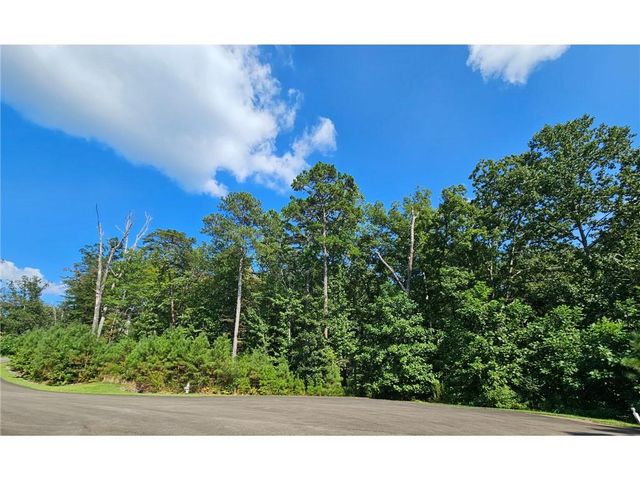 241 Carters View Lane, Ellijay, GA 30540
