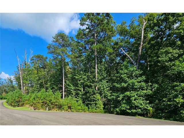 241 Carters View Lane, Ellijay, GA 30540