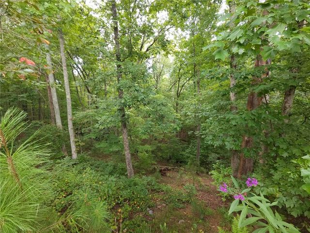241 Carters View Lane, Ellijay, GA 30540