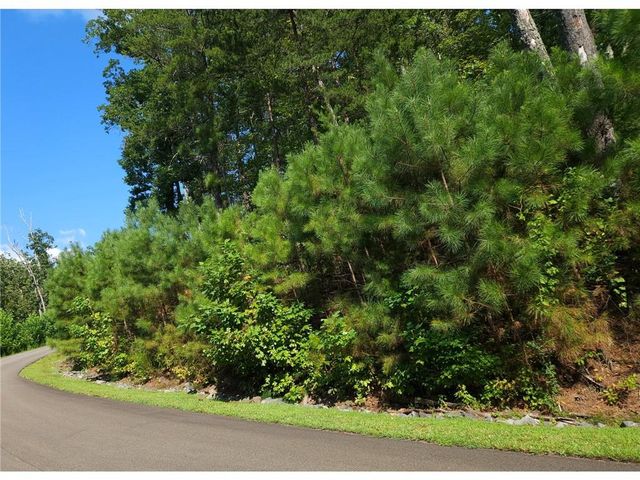 241 Carters View Lane, Ellijay, GA 30540