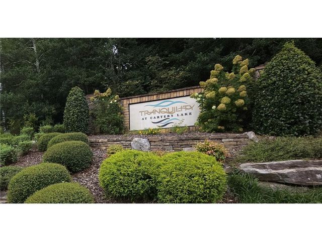 241 Carters View Lane, Ellijay, GA 30540
