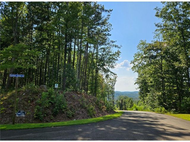 241 Carters View Lane, Ellijay, GA 30540