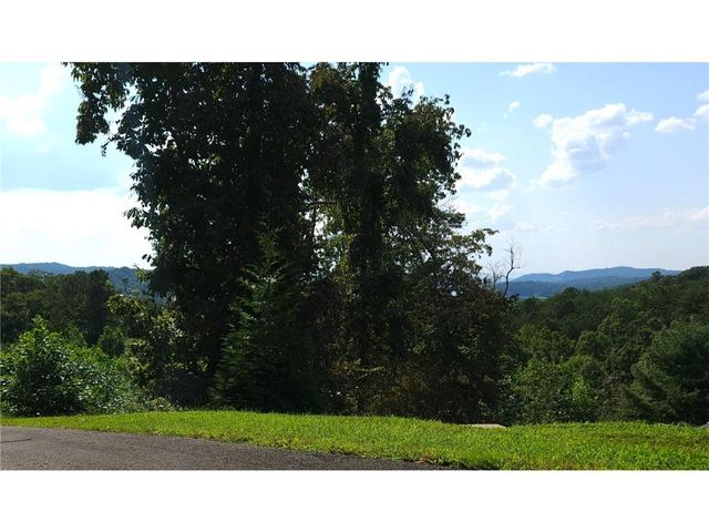 241 Carters View Lane, Ellijay, GA 30540