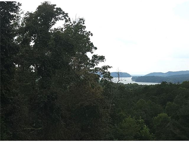 241 Carters View Lane, Ellijay, GA 30540