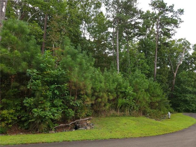 241 Carters View Lane, Ellijay, GA 30540