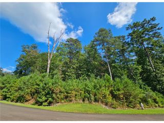 241 Carters View Lane, Ellijay, GA 30540