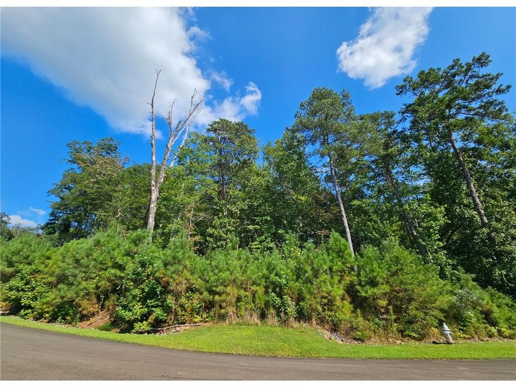241 Carters View Lane, Ellijay, GA 30540