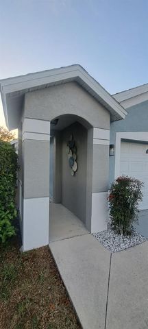 6043 POINTE PLEASANT BOULEVARD, Wesley Chapel, FL 33545