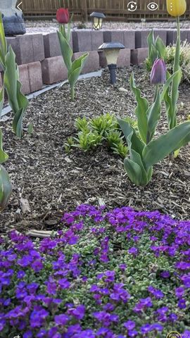 2430 S Fundy Circle, Aurora, CO 80013