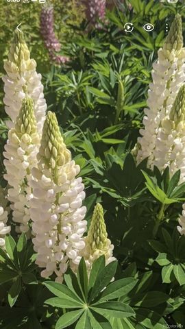 2430 S Fundy Circle, Aurora, CO 80013