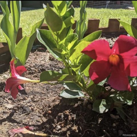 2430 S Fundy Circle, Aurora, CO 80013