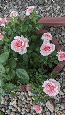 2430 S Fundy Circle, Aurora, CO 80013