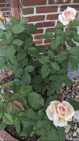 2430 S Fundy Circle, Aurora, CO 80013