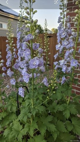 2430 S Fundy Circle, Aurora, CO 80013