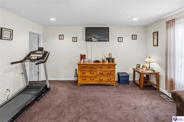 438 Willow Lake Drive, Vine Grove, KY 40175