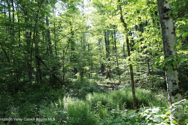 380 Terrace Drive, Lexington, NY 12468