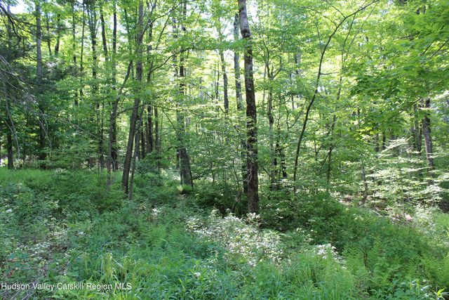 380 Terrace Drive, Lexington, NY 12468