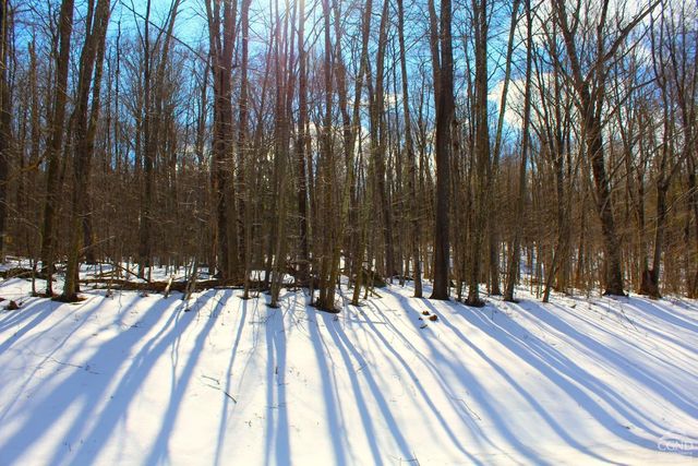 380 Terrace Drive, Lexington, NY 12468