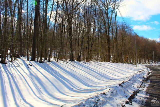 380 Terrace Drive, Lexington, NY 12468