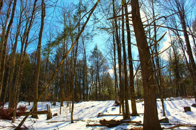 380 Terrace Drive, Lexington, NY 12468