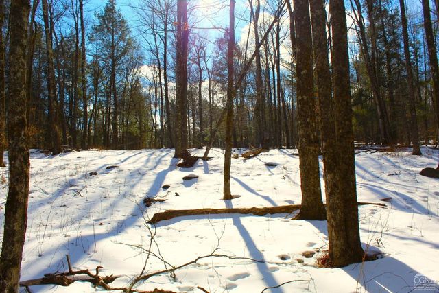 380 Terrace Drive, Lexington, NY 12468