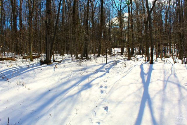 380 Terrace Drive, Lexington, NY 12468