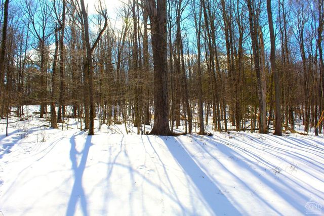 380 Terrace Drive, Lexington, NY 12468