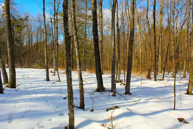 380 Terrace Drive, Lexington, NY 12468