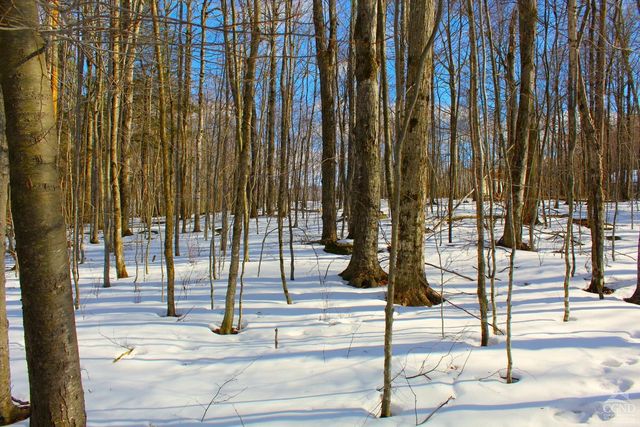 380 Terrace Drive, Lexington, NY 12468