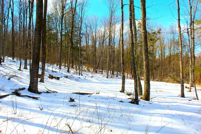 380 Terrace Drive, Lexington, NY 12468