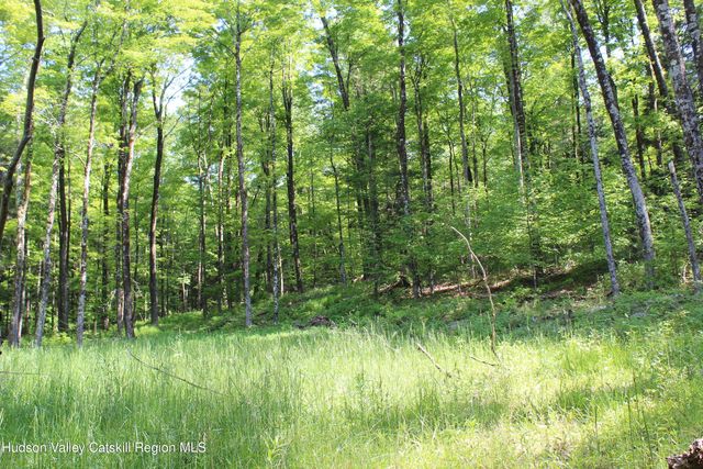 380 Terrace Drive, Lexington, NY 12468