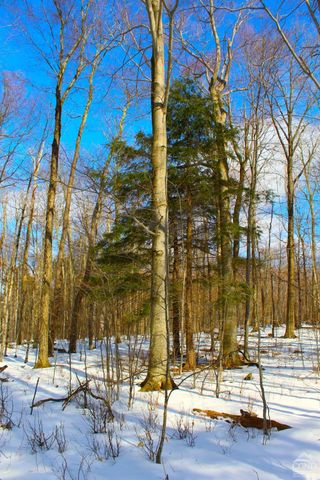 380 Terrace Drive, Lexington, NY 12468