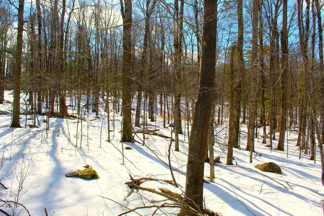 380 Terrace Drive, Lexington, NY 12468