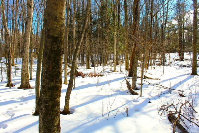 380 Terrace Drive, Lexington, NY 12468