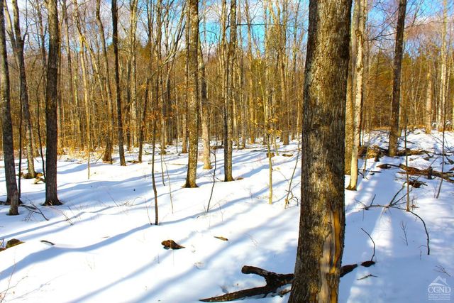 380 Terrace Drive, Lexington, NY 12468