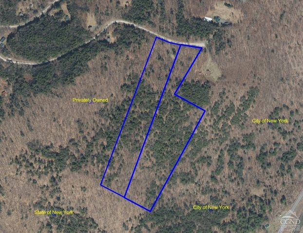 380 Terrace Drive, Lexington, NY 12468