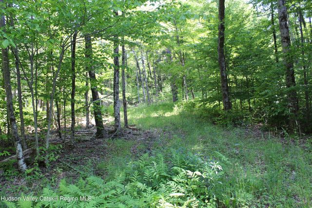 380 Terrace Drive, Lexington, NY 12468