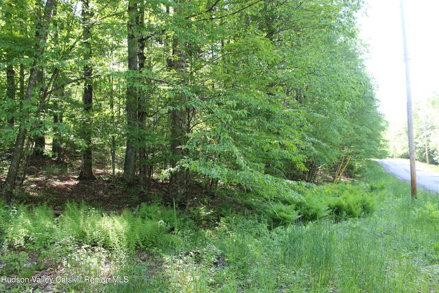 380 Terrace Drive, Lexington, NY 12468